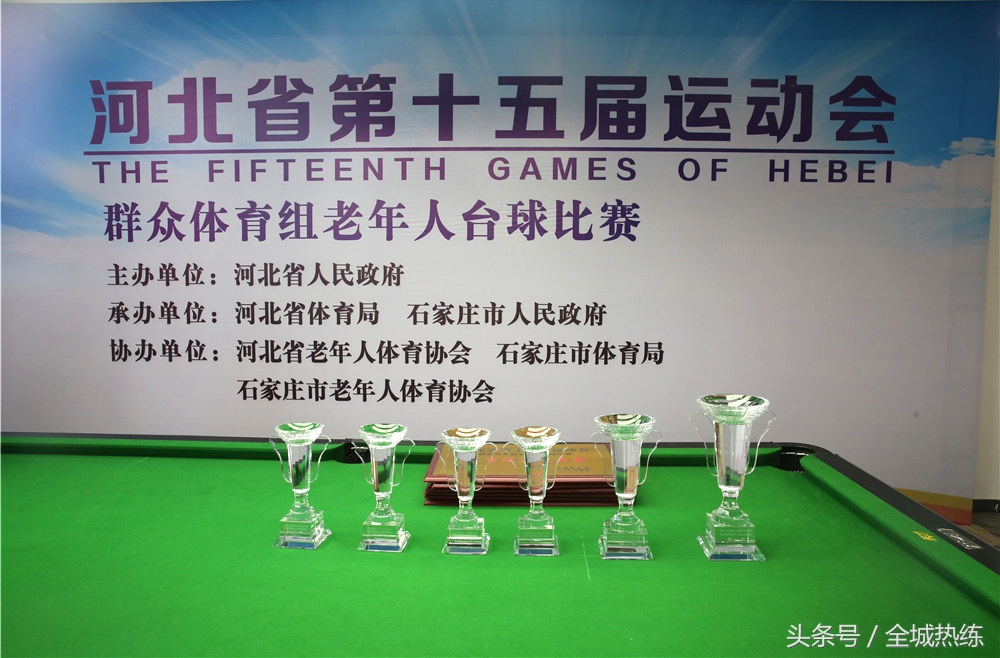 老年人比赛冠军,台球锦标赛冠军