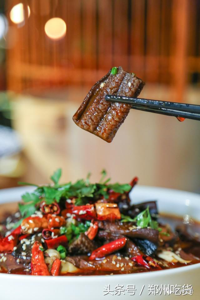 一家藏在郑州里的世外桃源，来这看世界杯没错！