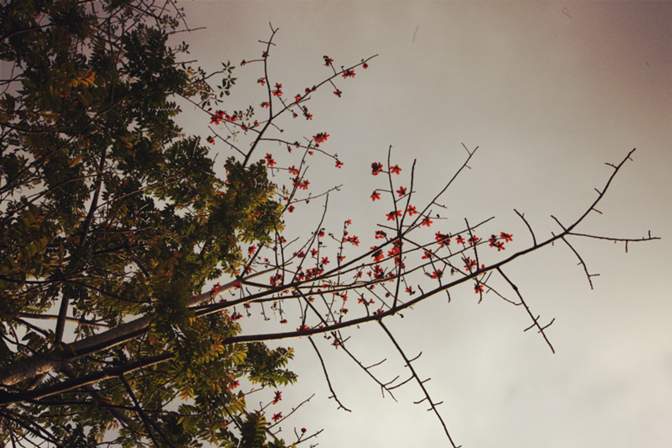 一个让人打开心扉的城市,一座城市让你念念不忘