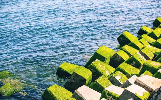 晚上在青岛吹着海风吃海鲜,青岛吹着海风吃着烧烤