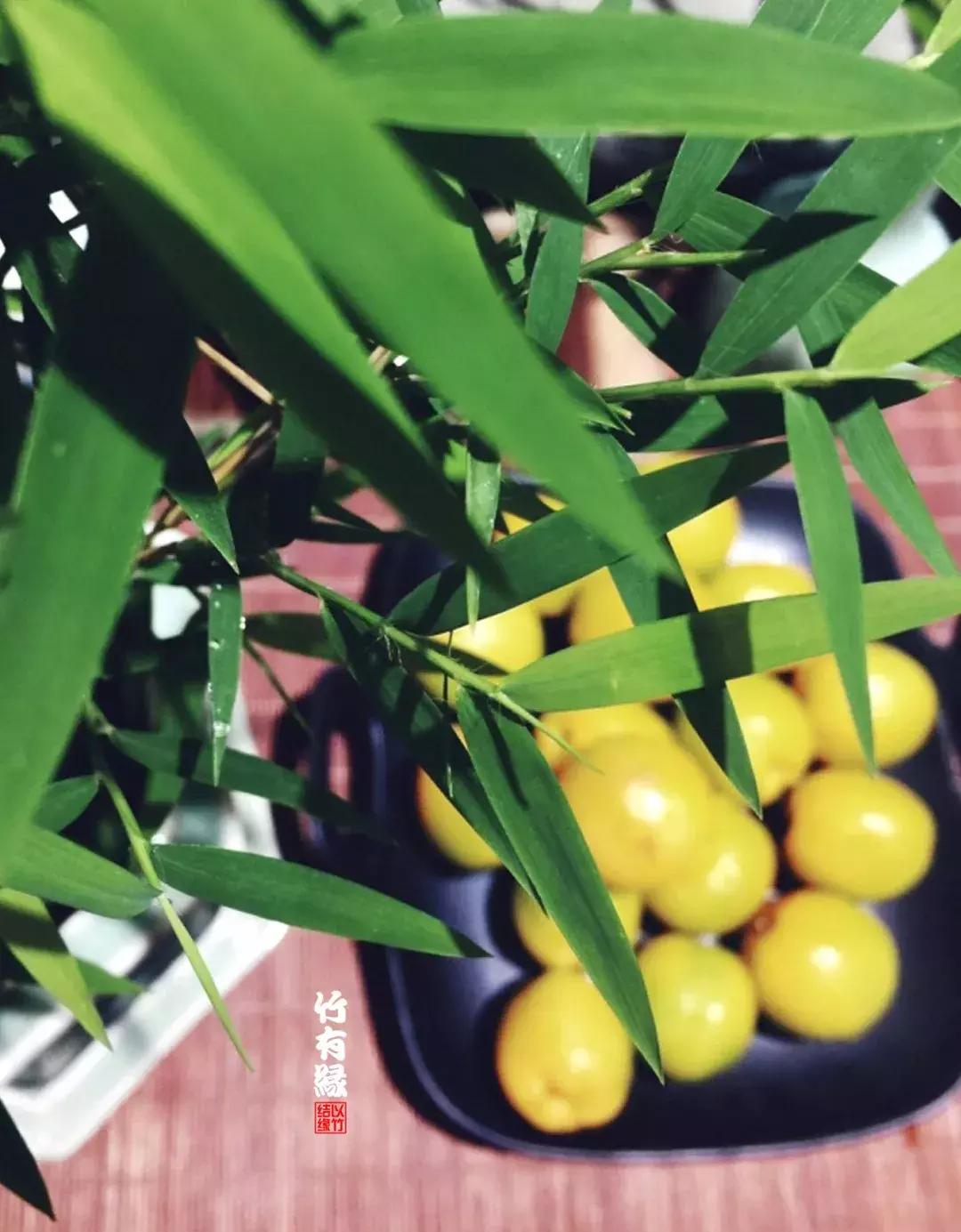 姬翠竹竹杆种植,姬翠竹养护修剪