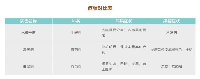 葡萄小果脱落是什么原因,葡萄软果掉果是怎么回事