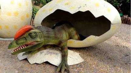 先有恐龙蛋还是先有鸡蛋,先有鸡还是先有鸡蛋的答案