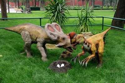 先有恐龙蛋还是先有鸡蛋,先有鸡还是先有鸡蛋的答案