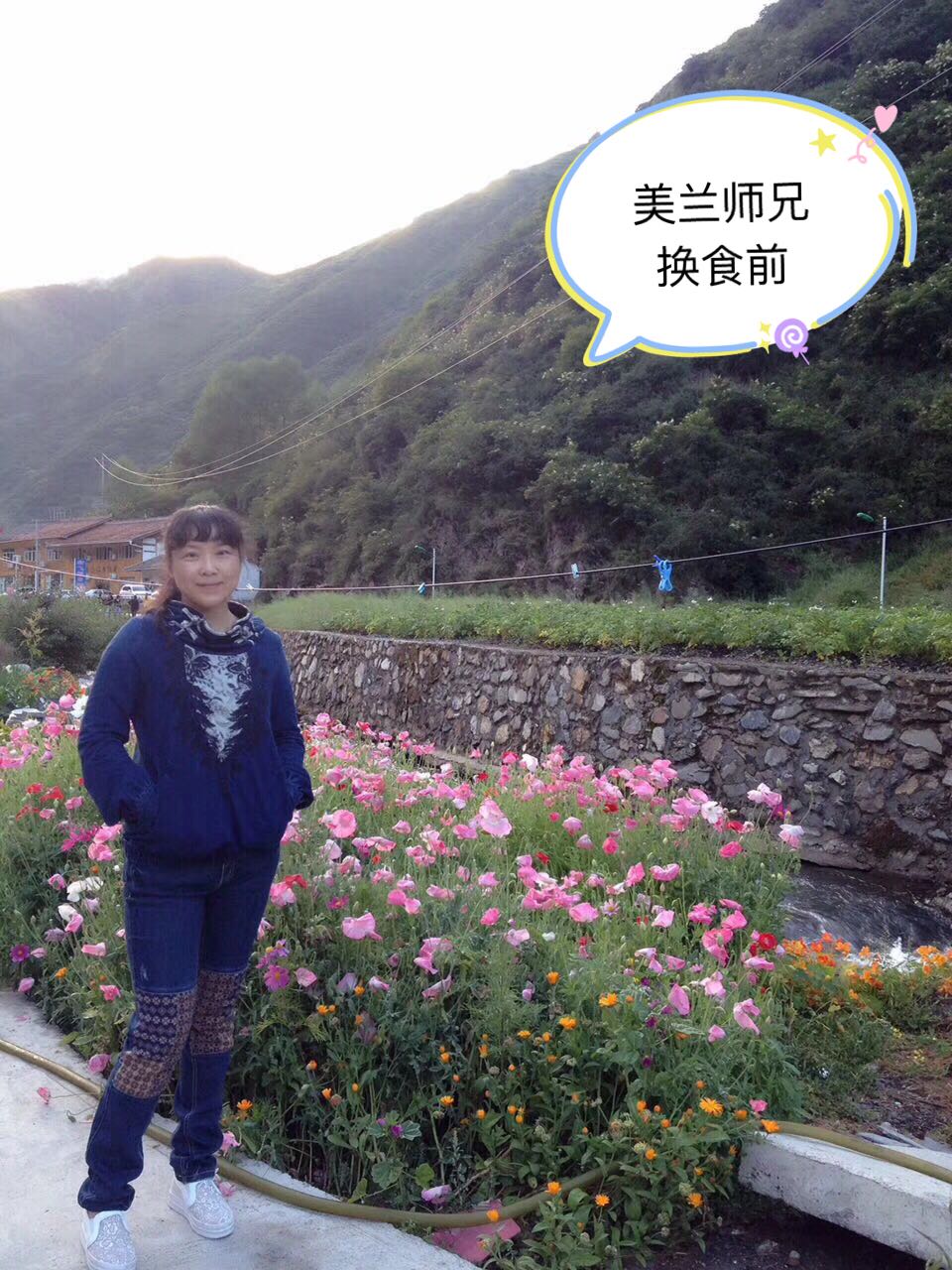 本能系统调理,本能系统医学