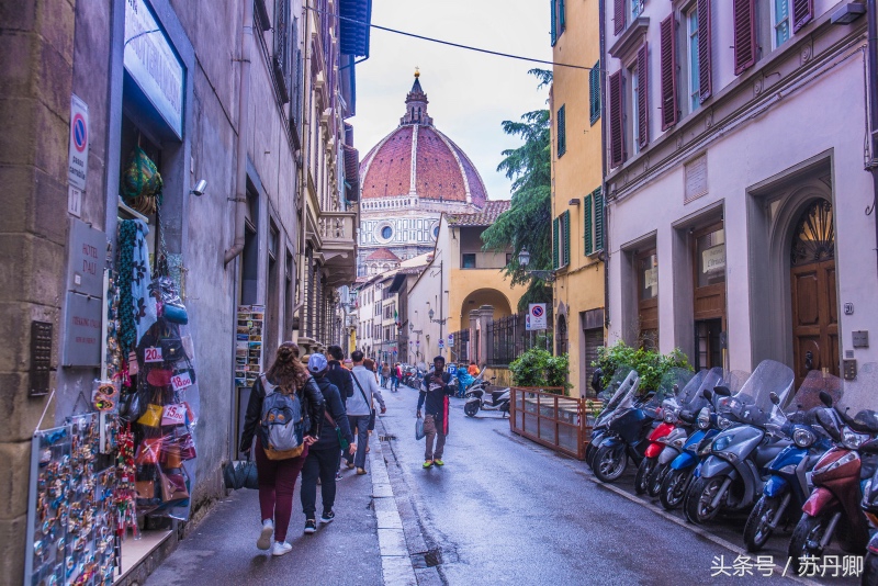 佛罗伦萨文艺复兴特点,欧洲文艺复兴的发源地意大利