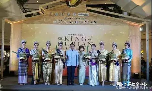 泰国最贵榴莲有多贵,泰国最贵的榴莲多少钱一斤