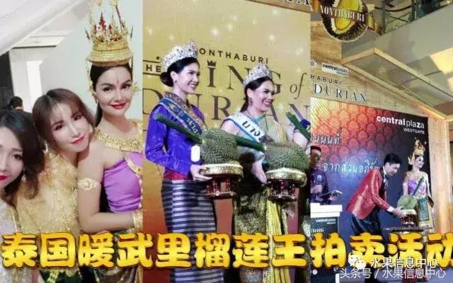 泰国最贵榴莲有多贵,泰国最贵的榴莲多少钱一斤