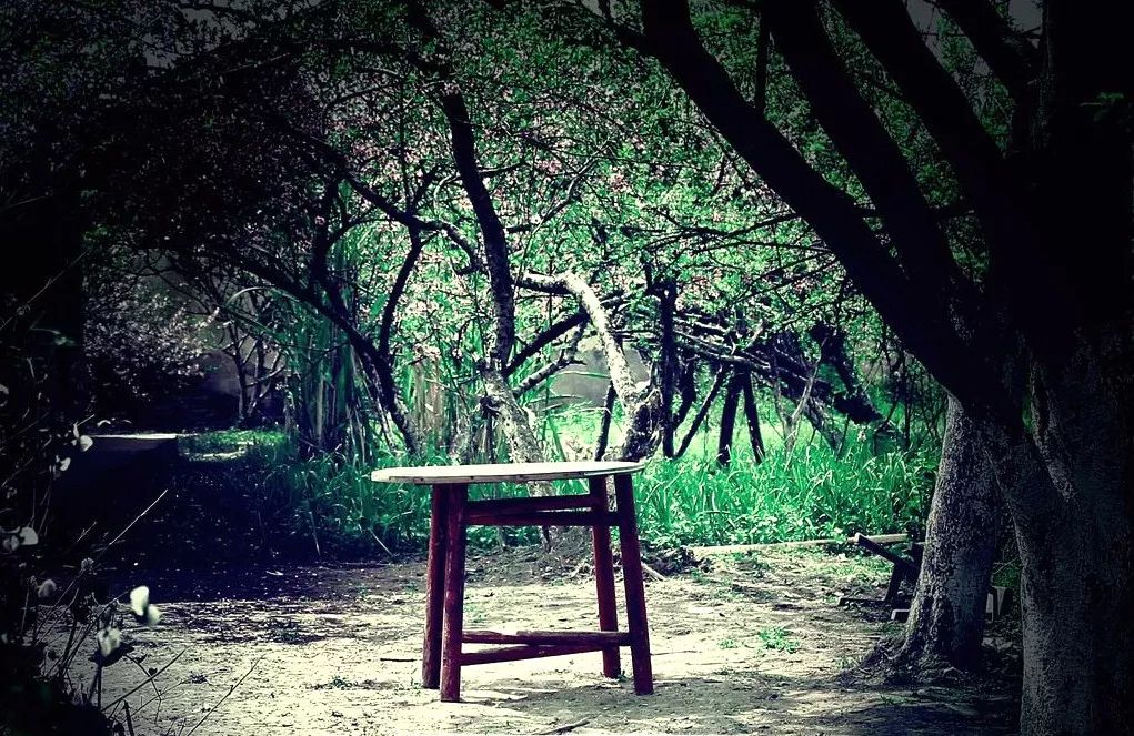 武汉蔡店农中琐忆