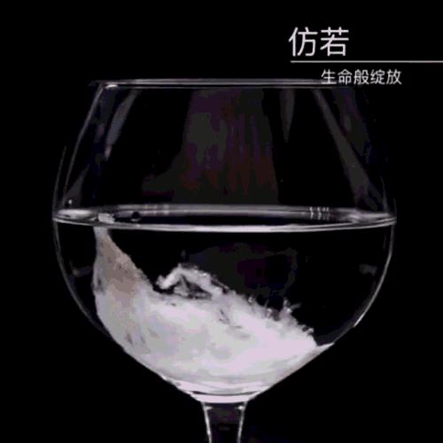 燕窝的泡发教学,燕窝泡发步骤