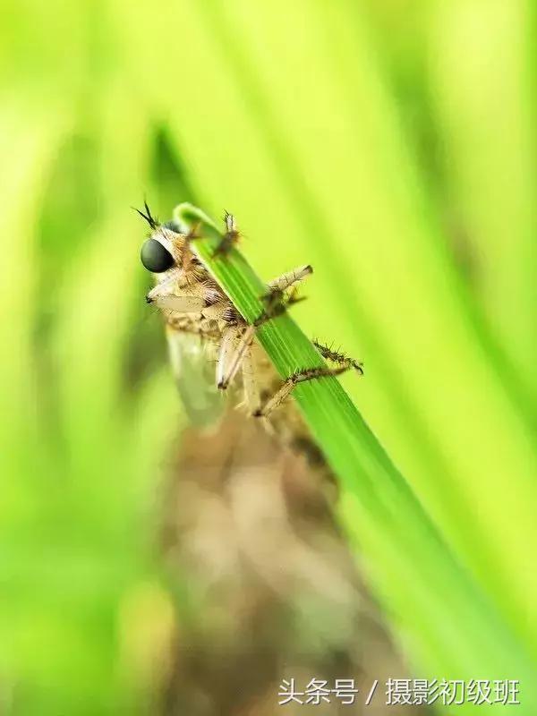 手机摄影7个高级拍照技巧,手机拍大片的11个摄影技巧