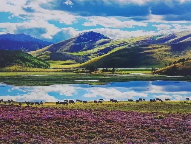 凉山除了西昌还有哪里好耍,凉山西昌哪个地方最好