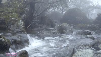 看了容易犯困的综艺,看着容易犯困的综艺