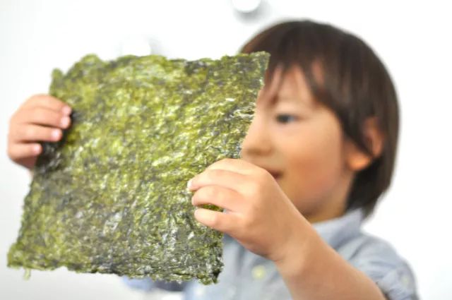 无油无盐海苔,十大不高盐海苔排名