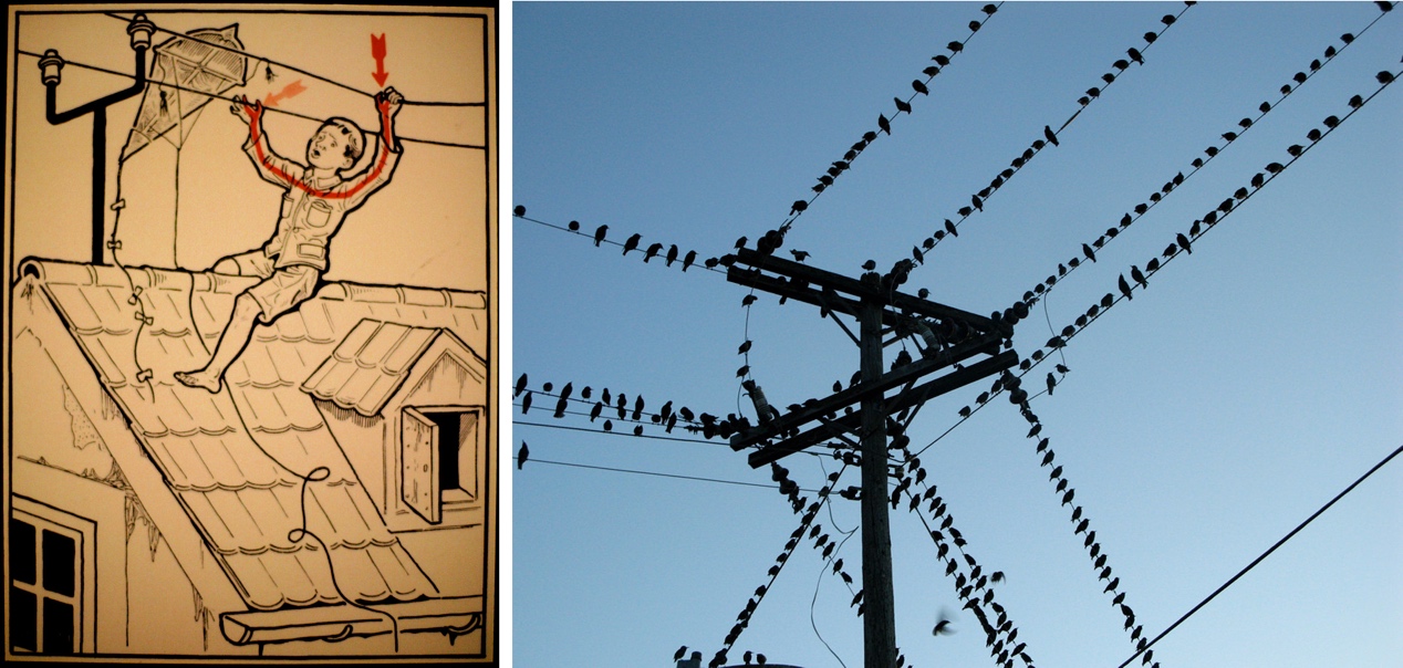 暴雨雷电天气个人如何防护,暴雨天气预防雷击安全知识