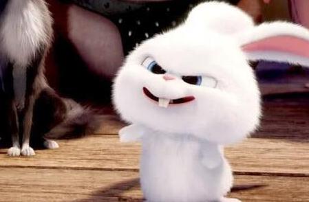 小车坠河10岁男孩,河南轿车下水救人