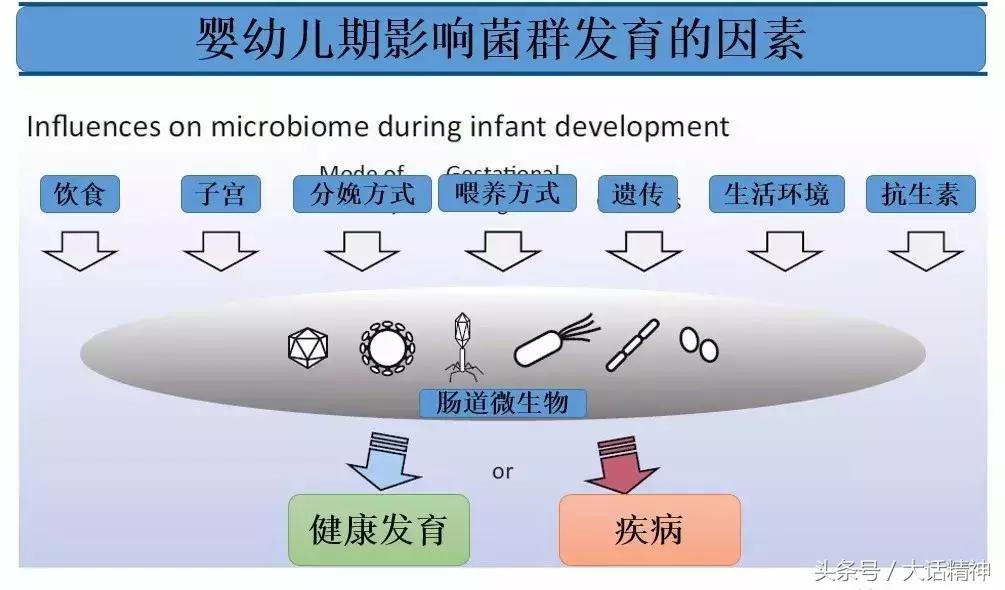 肠道微生物是治疗精神疾病的关键吗?它如何操控我们的健康?