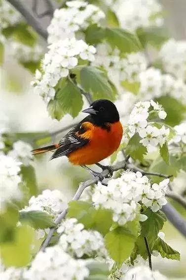 男女之间幽默搞笑顺口溜,男女之间的关系顺口溜