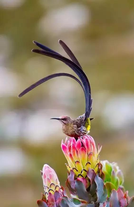男女之间幽默搞笑顺口溜,男女之间的关系顺口溜