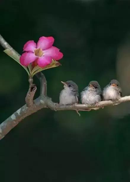 男女之间幽默搞笑顺口溜,男女之间的关系顺口溜