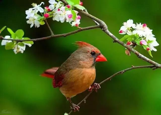 男女之间幽默搞笑顺口溜,男女之间的关系顺口溜