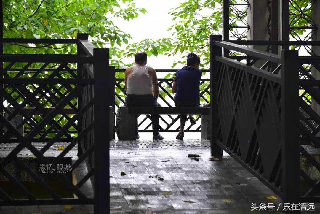 还剩三天！看腻了清远的好山好水，不如来江心岛看场展览吧~