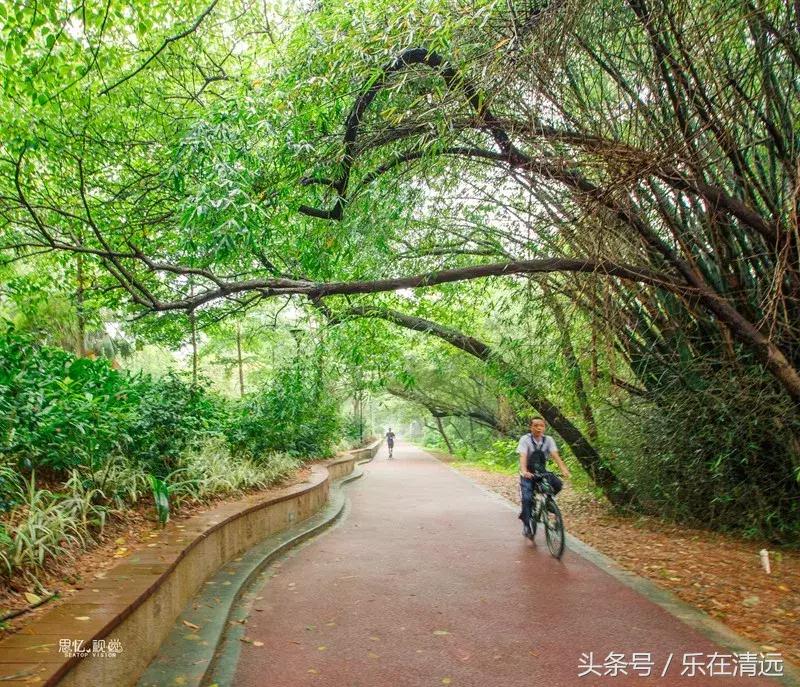 还剩三天！看腻了清远的好山好水，不如来江心岛看场展览吧~