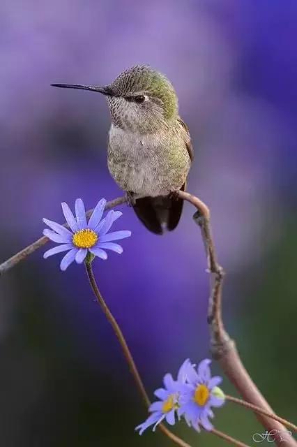 男女之间幽默搞笑顺口溜,男女之间的关系顺口溜