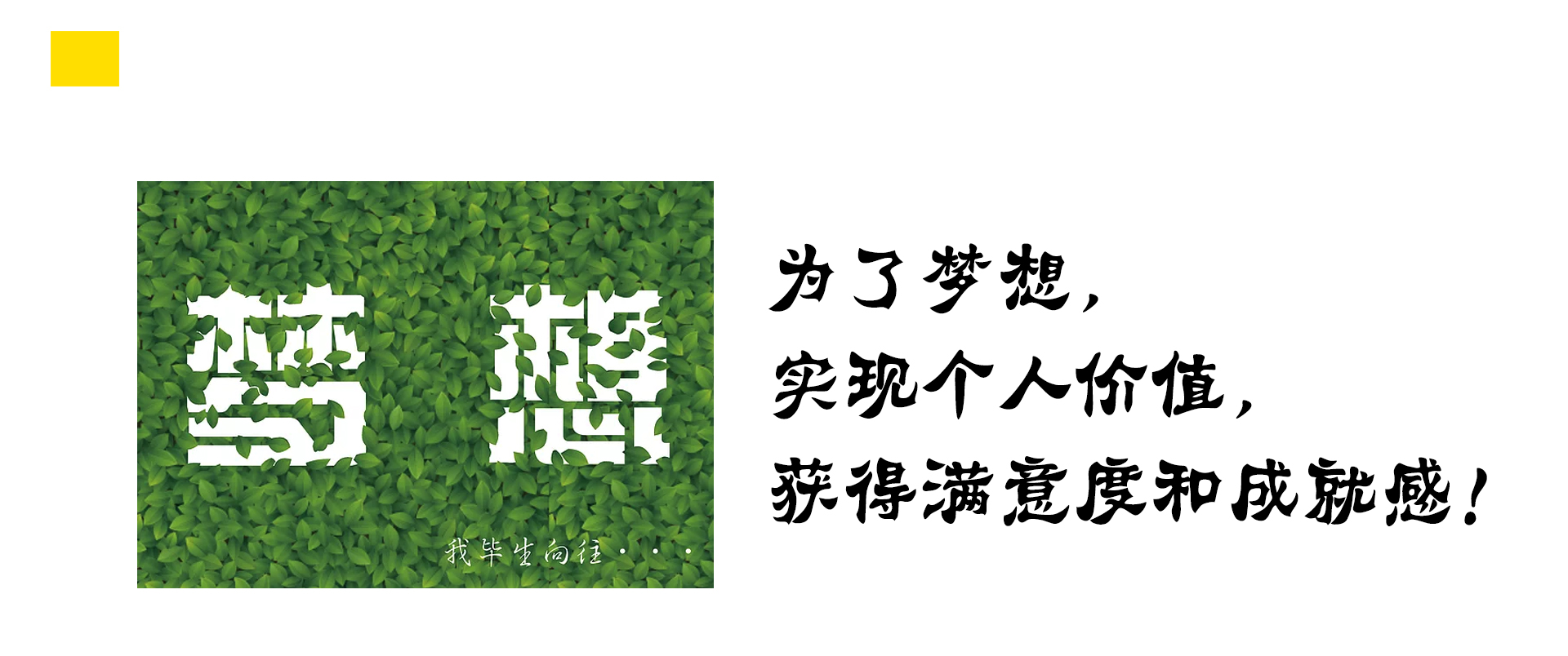 女性创业的动机有哪些,什么是创业动机