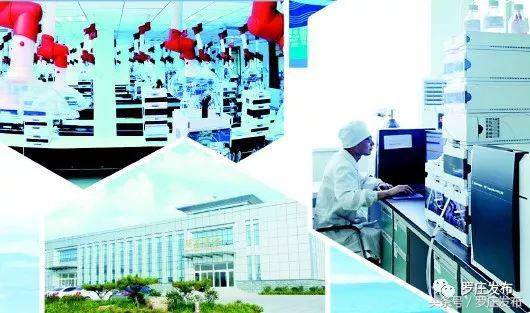 今年，罗庄这家企业预期销售收入将过百亿元！这源于······