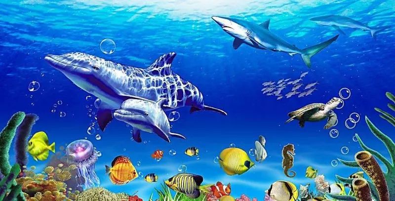 德语课堂第九期,德语课堂