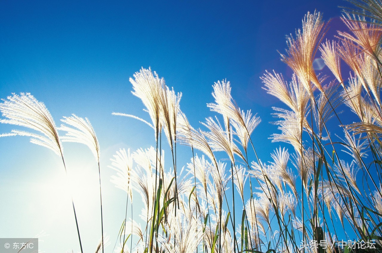 美文｜男人的旧单车