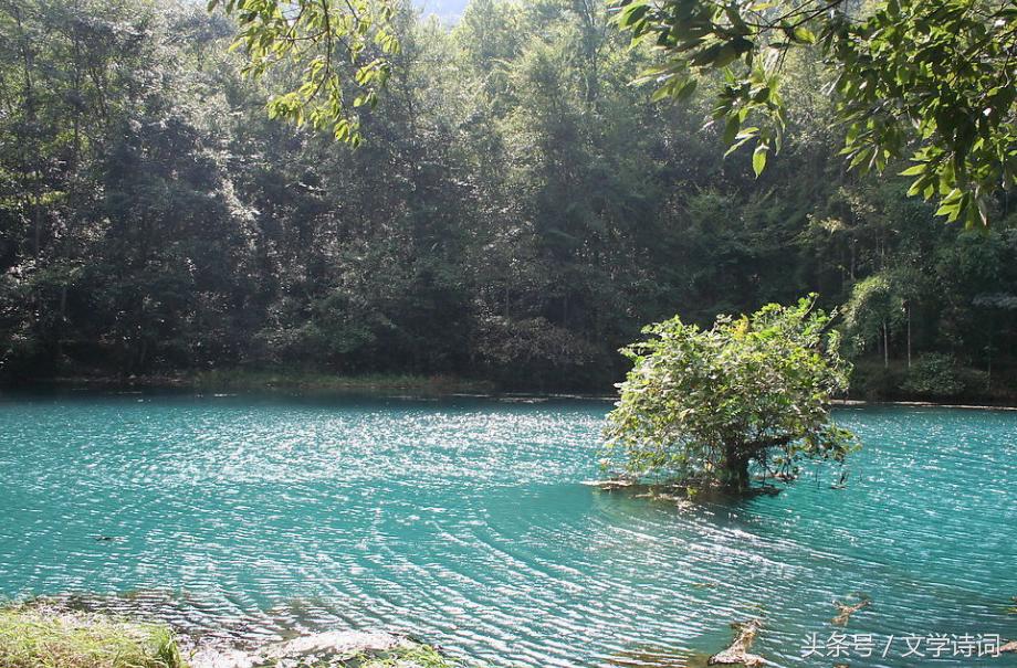 直道相思了无益未妨惆怅是清狂意,直道相思了无益未妨惆怅是清狂