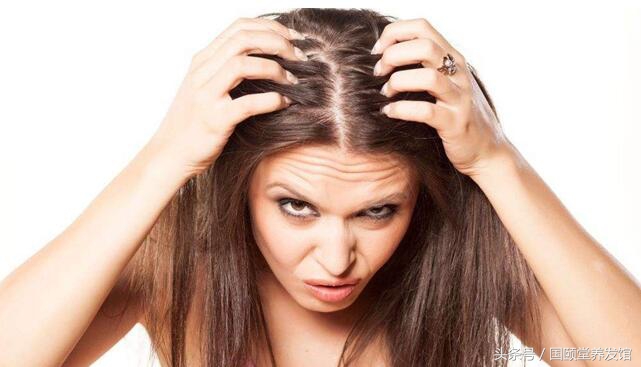 国颐堂养发馆去屑,国颐堂养发馆洗头步骤