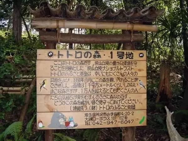 走进宫崎骏的动漫世界风景,现实版宫崎骏的世界