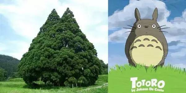 走进宫崎骏的动漫世界风景,现实版宫崎骏的世界