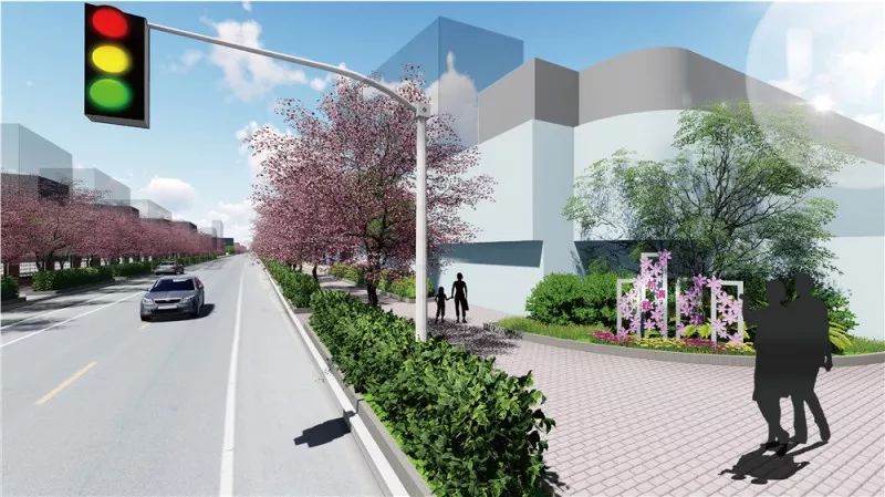 宝山最美的樱花路,宝山浪漫樱花路图片