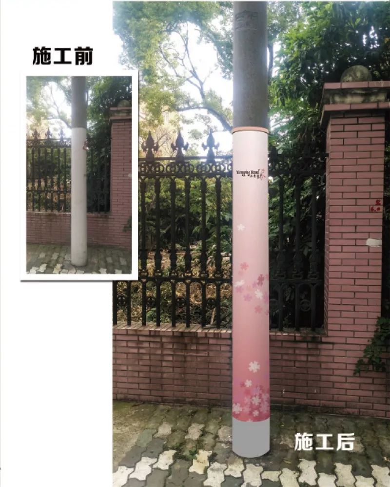 宝山最美的樱花路,宝山浪漫樱花路图片