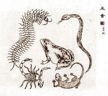 端午节中国传统节日手抄报,端午节中国传统节日习俗