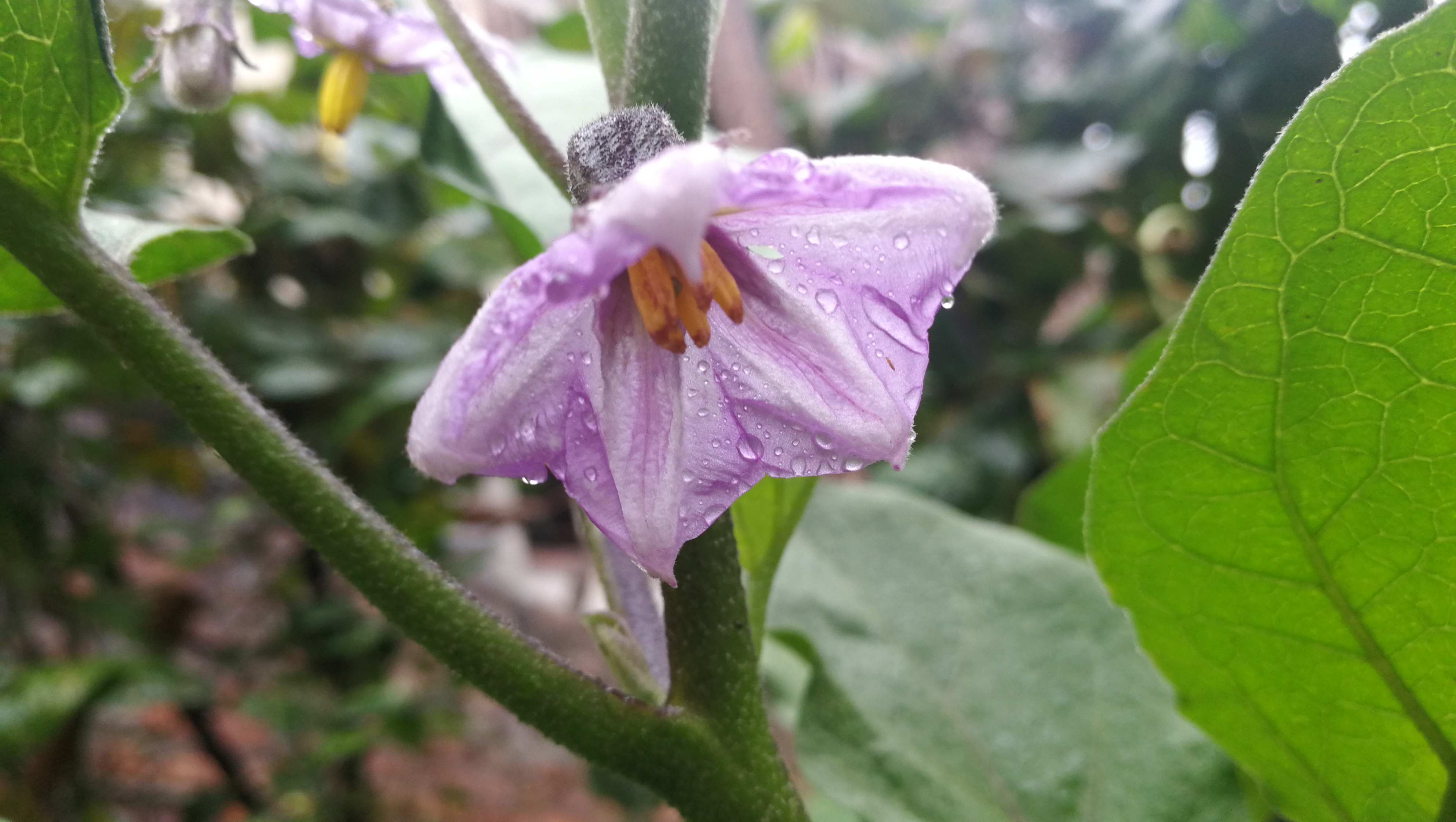 孩子抗拒做家庭作业怎么办,孩子抗拒做作业怎么办