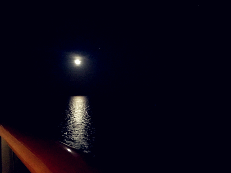 以邮轮开始的小说,以邮轮为题材的作品