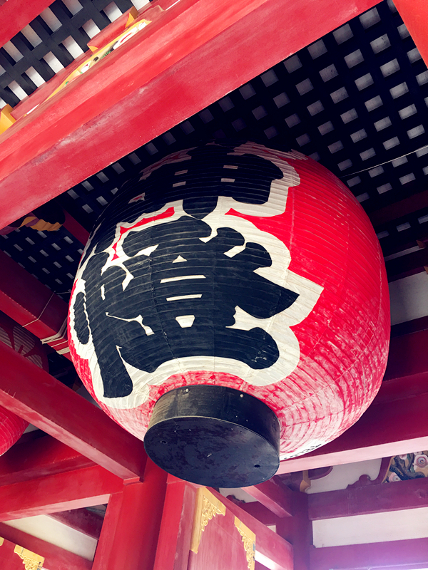 以邮轮开始的小说,以邮轮为题材的作品