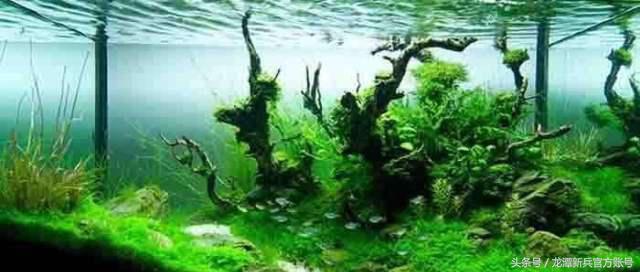 羊水超过多少为羊水过多,养水和不养水的区别