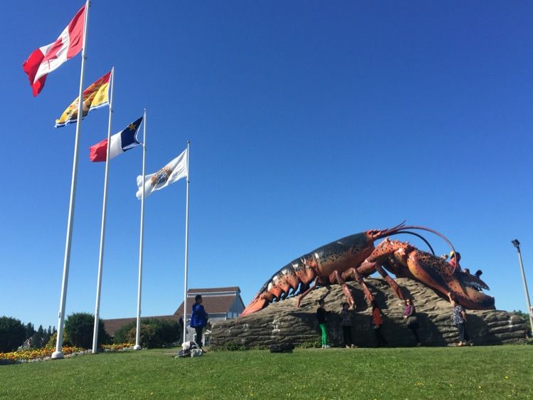 八位佳人在远方——初中闺蜜团加拿大游之美好印记