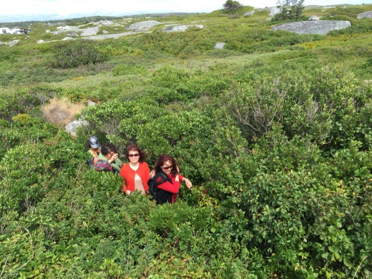 八位佳人在远方——初中闺蜜团加拿大游之美好印记