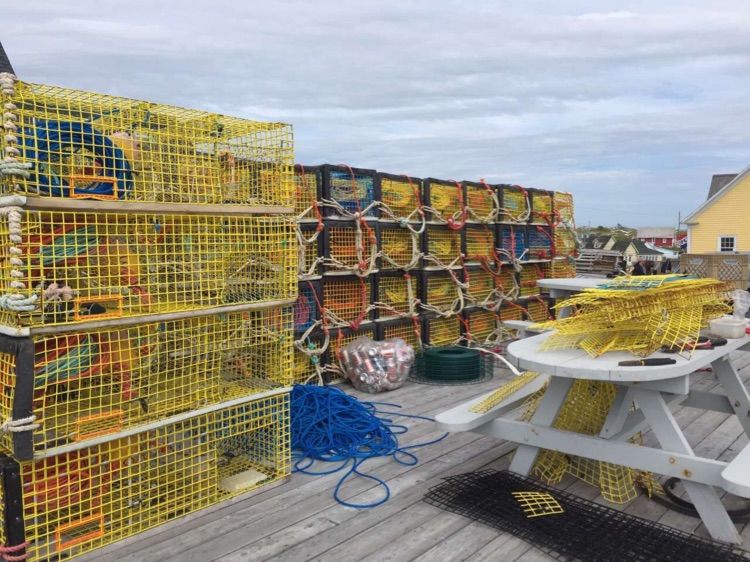 八位佳人在远方——初中闺蜜团加拿大游之美好印记