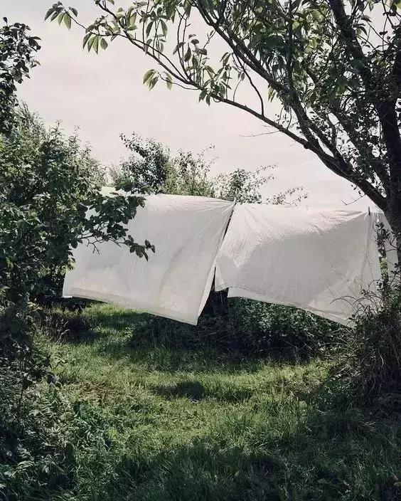 杀灭衣服被子螨虫最简单的方法,去除被单上螨虫最好的方法