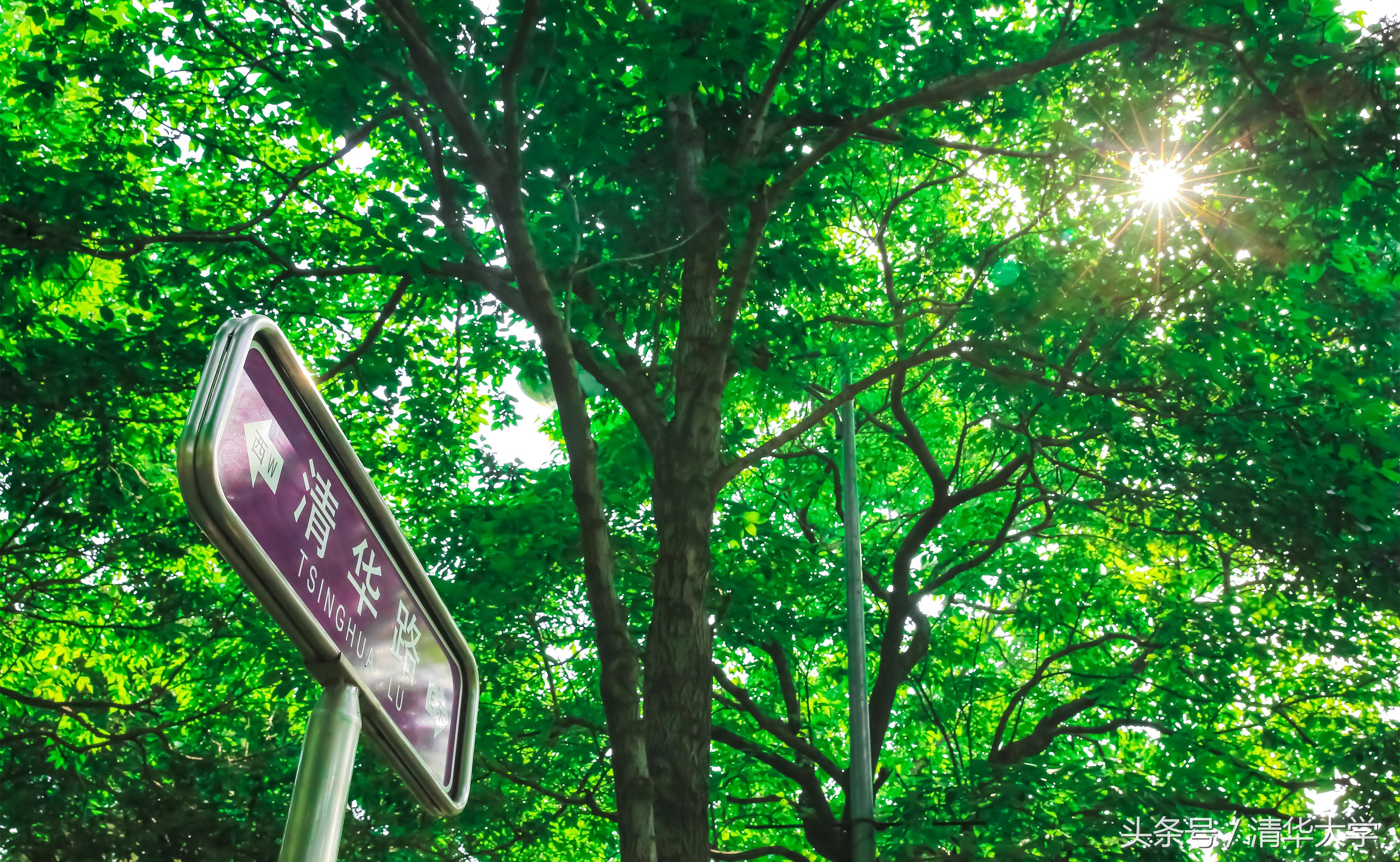 梦想还有来日方长|给参加清华大学自主选拔的你