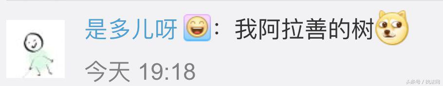 手机号码、QQ、微信、花呗能继承吗？答案来了！