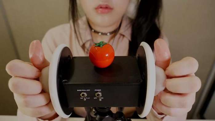 asmr适用于每个人吗,asmr真的对大脑有害吗